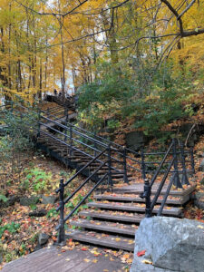 Grand Staircase of Mount Royal