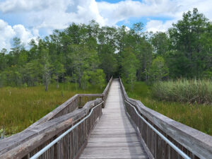 Grassy Waters Preserve