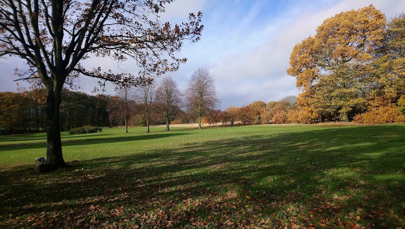 Graves Park