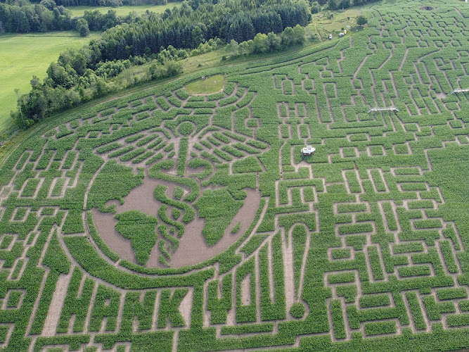 Great Vermont Corn Maze