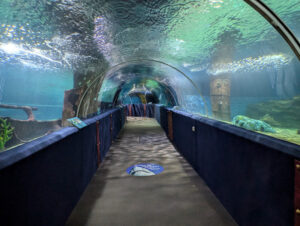 Greater Cleveland Aquarium