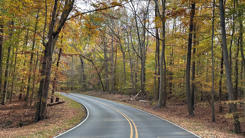 Greenbelt Park