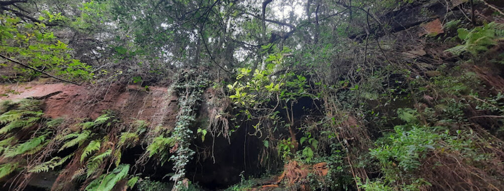 Gruta de la Llorona Travel Forum Reviews