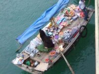 Ha Long Day Tour on Luxury Cruise with Buffet Lunch and Sunset party Review