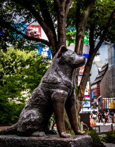 Hachikō Memorial Statue