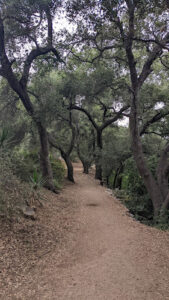 Hahamongna Watershed Park