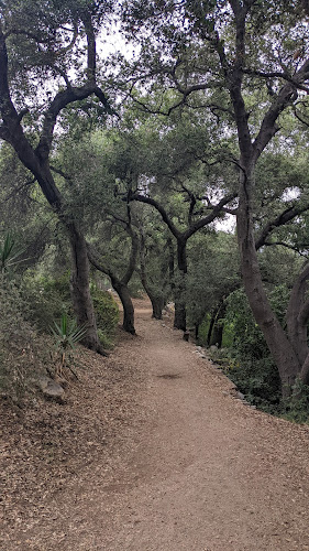 Hahamongna Watershed Park