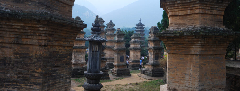 Half-Day Private Guided Tour of Luoyang Longmen Grottoes Review