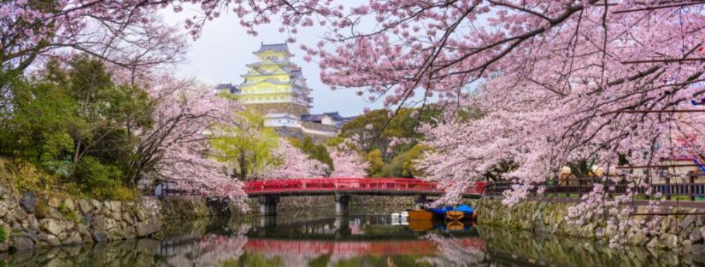 Himeji Castle and Moat in Spring