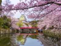 Himeji Castle and Moat in Spring