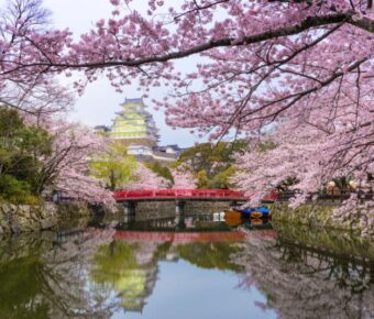 Himeji Castle and Moat in Spring