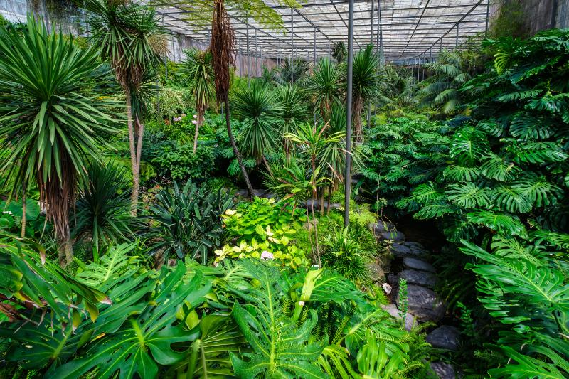 Hortus Botanicus greeneries