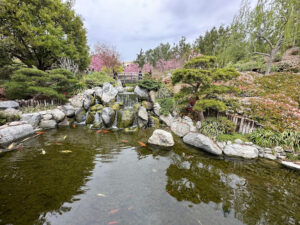 Japanese Friendship Garden and Museum