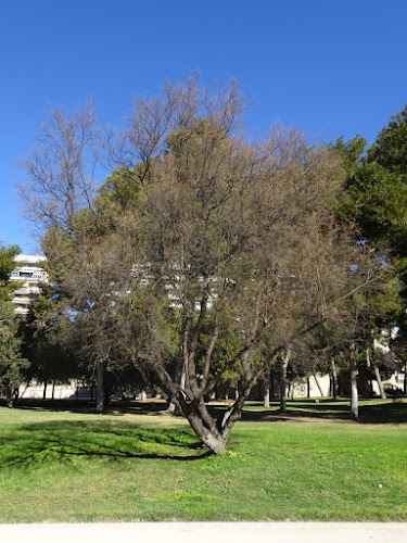 Jardí del Túria – Tram IV