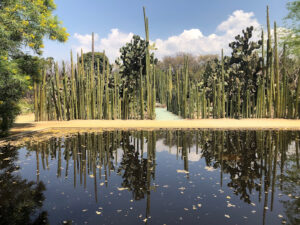 Jardín Etnobotánico de Oaxaca