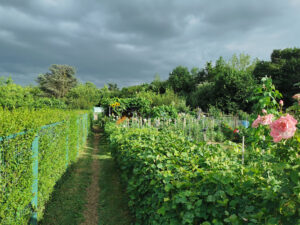 Jardins Familiaux de Montigny-le-Bretonneux