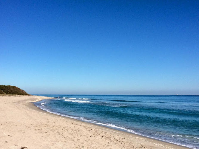 John D. MacArthur Beach State Park