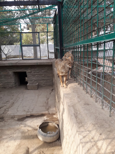 Kabul Zoo