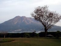 Mobile Wi-Fi rental from Kagoshima Airport Review