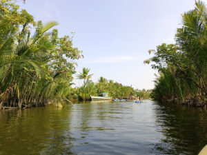 Kampot and Kep Day Tours with Mr.Sa