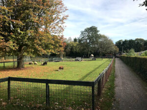 Kinderboerderij ‘t Mouwtje