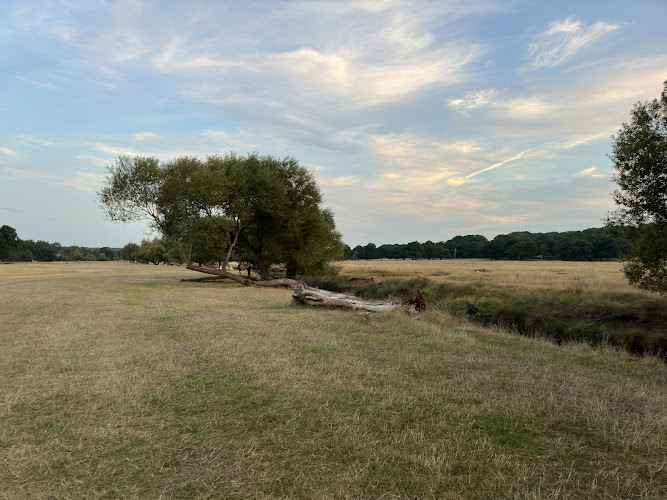 Kingston Gate, Richmond Park