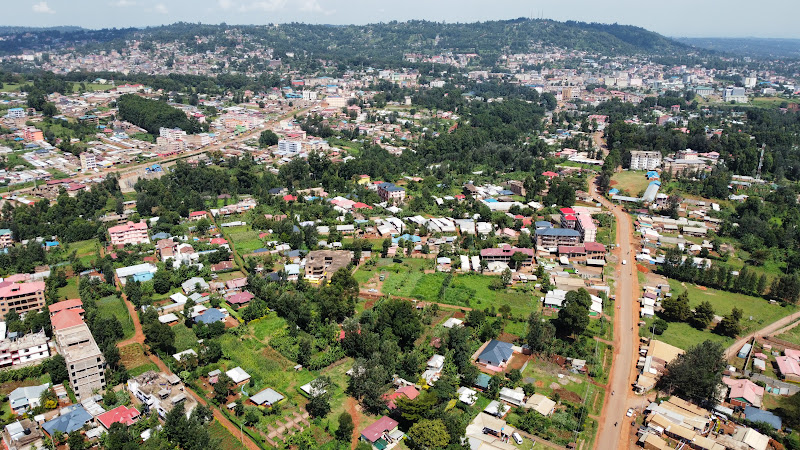 Kisii township