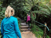 Kokoda Track Memorial Walk Travel Forum Reviews