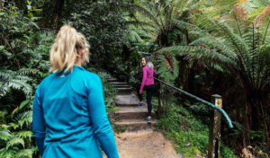 Kokoda Track Memorial Walk