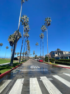 La Jolla Shores Park