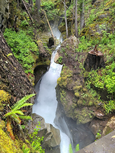 Ladder Creek Falls