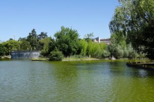 Lago de Barañáin