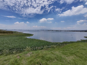 Laguna de Zumpango