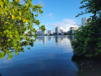 Laguna del Condado Profesor Jaime Benítez Rexach National Park Travel Forum Reviews