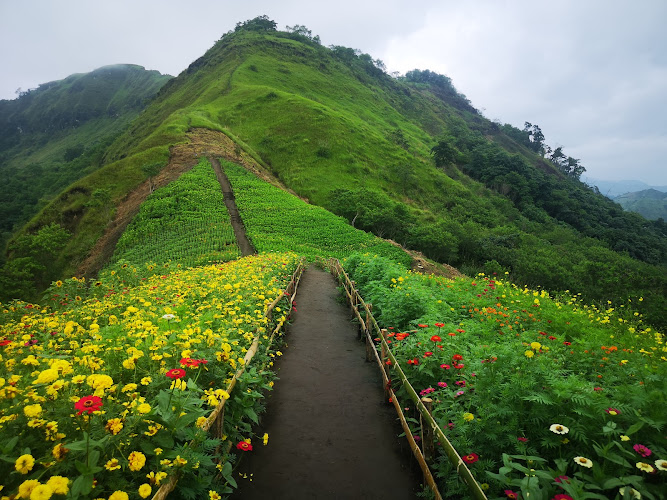 Landingan Viewpoint