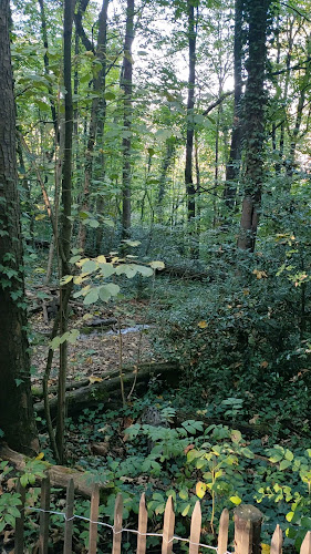 Le Bois de la Caille