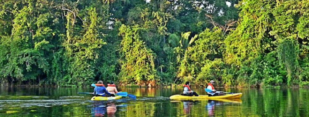 Leticia Amazonas Jungle Tours Operator Travel Forum Reviews