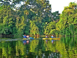 Leticia Amazonas Jungle Tours Operator