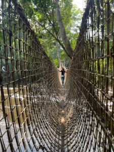 Liana Bridge of Poubara