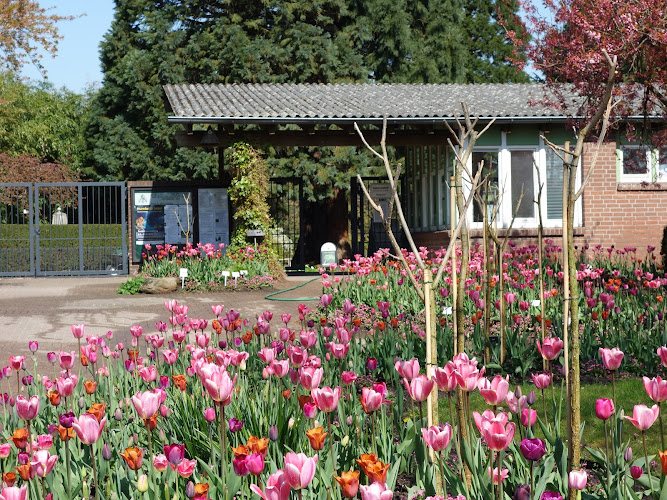 Loki Schmidt Garden Botanical of University Hamburg