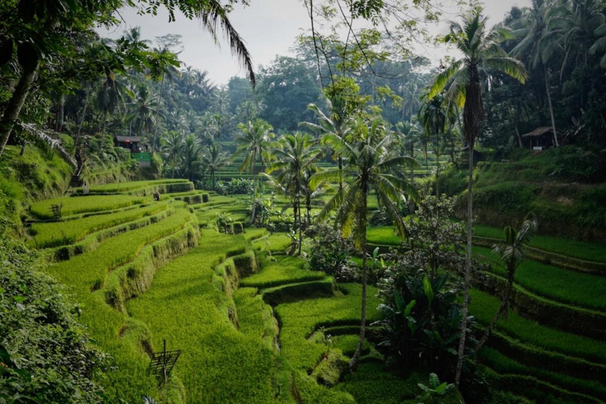 Lombok Sasak Tribe and South Coast Guided Tour Review