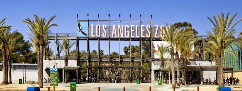 Los Angeles Zoo Travel Forum Reviews