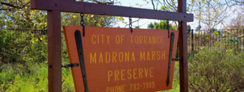 Madrona Marsh Preserve and Nature Center Travel Forum Reviews