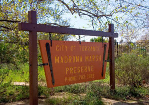 Madrona Marsh Preserve and Nature Center