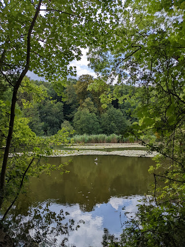 Malmaison Forest