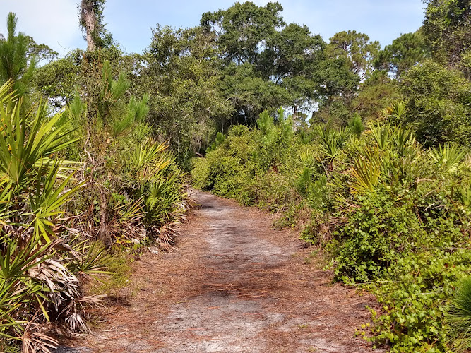 Manasota Scrub Preserve Travel Forum Reviews