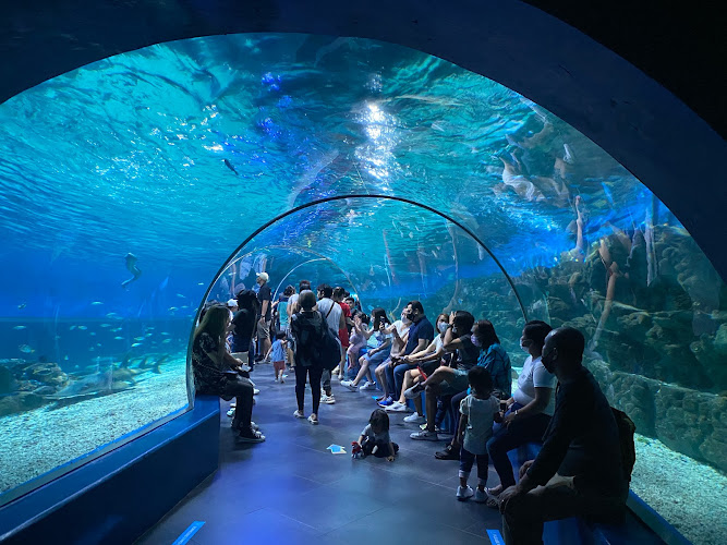 Manila Ocean Park Travel Forum Reviews