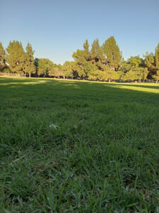 Manzanita Park