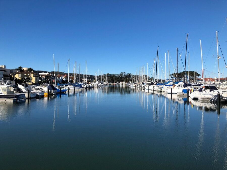 Boats docked at the marina