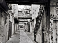 Wine or beer tour in the Gorges du Verdon Review